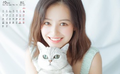 网络红人韩老板